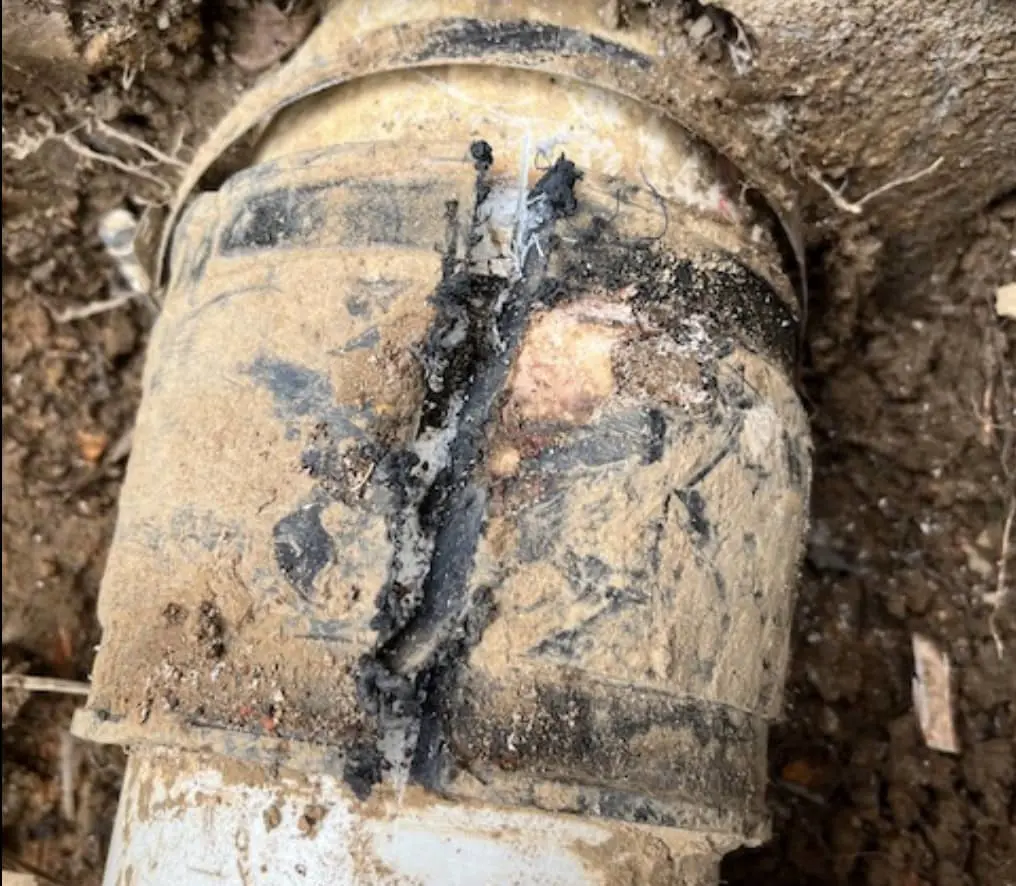 Sewer Line Roots Tree Root Killer Sewer Lines What Is The Best Root Killer For Sewer